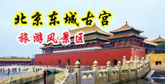 菊黄片中国北京-东城古宫旅游风景区